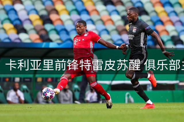 卡利亚里前锋特雷皮苏醒 俱乐部主席送上祝福