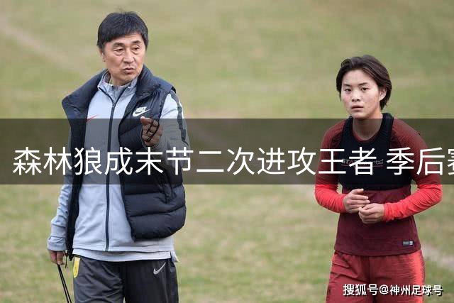 森林狼成末节二次进攻王者 季后赛关键数据领跑全联盟