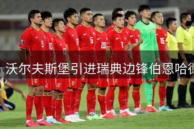 沃尔夫斯堡引进瑞典边锋伯恩哈德松 签下三年长约