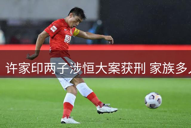 许家印两子涉恒大案获刑 家族多人涉案受审
